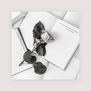 菲律宾黄色录像
