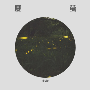 菲律宾黄色录像
